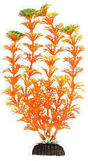 Laguna  "Амбулия" оранжевая, пакет