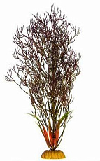 Barbus Пластиковое растение Горгонария черная