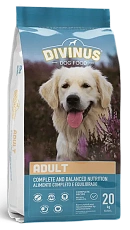Divinus Dog Adult
