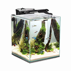 Aquael Аквариум Fish & Shrimp Set Duo 35, черный