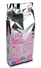 Atletic Dog Puppy