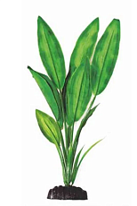 Barbus Шелковое растение Эхинодорус Блейхери зелёный в блистере