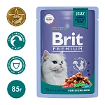 Brit Premium Пауч для стерилизованных кошек (Утка с яблоками в желе)