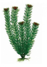 Aquael Растение пластиковое AP-005 4, 10 см