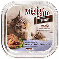 Miglior Gatto Steril Fish and Shrimps – Garfield.by