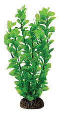 Laguna Растение "Людвигия" зеленая, пакет
