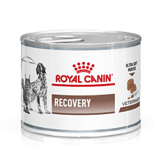 Royal Canin Recovery (мусс)