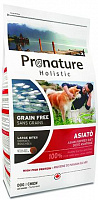 Pronature Holistic GF Asian Dog Maxi – Garfield.by