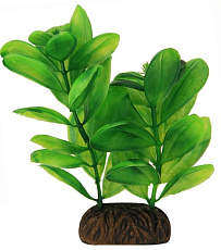 Laguna Растение 1363 "Самолюс" зеленый, 10 см