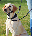 Trixie Шлея Top Trainer Training Harness