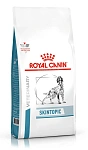 Royal Canin Skintopic Dog