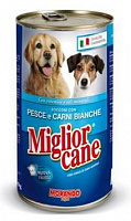 Miglior Classic Line Fish and Poultry dog – Garfield.by
