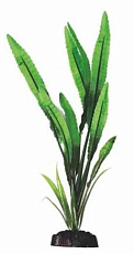 Barbus Шелковое растение Кринум зеленый (блистер)