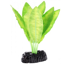 Barbus Шелковое растение Апоногетон Натанс зелёный в блистере