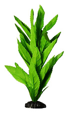 Barbus Шелковое растение Гигрофила зелёная (блистер)