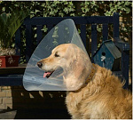 Beeztees Послеоперационный воротник