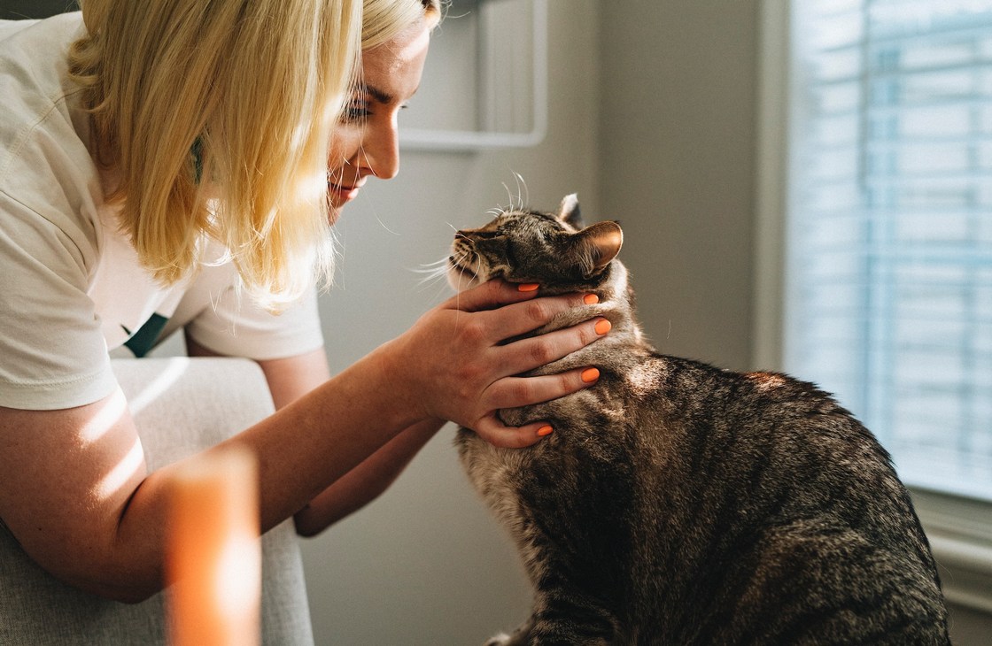 Какое питание нужно кошке с мочекаменной болезнью